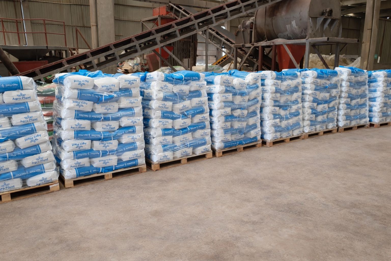 Green crops in field